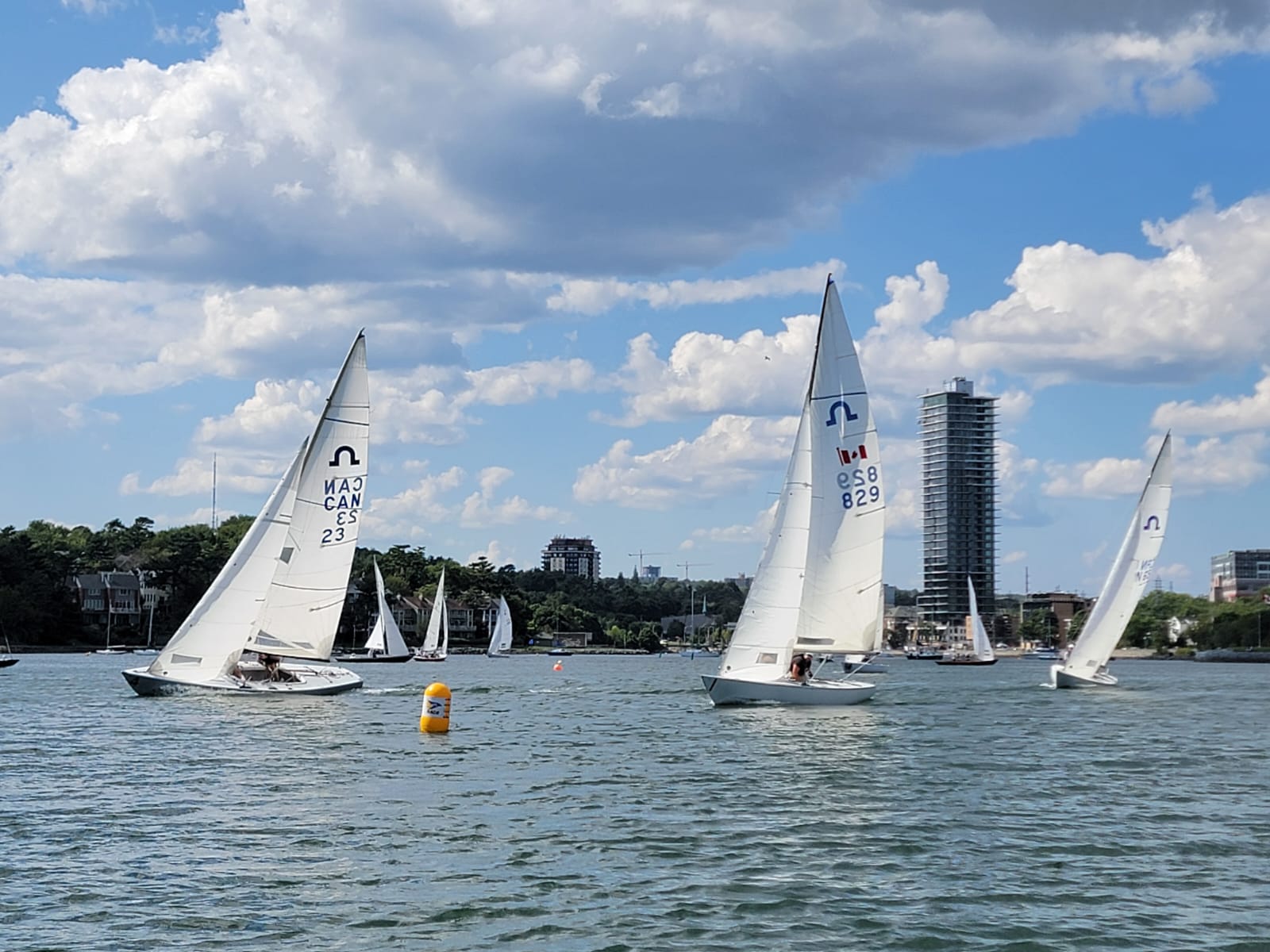 armdale yacht club sailing lessons